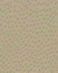 Dewdrops 116 Sand by  Kravet 