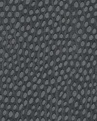 Dewdrops 21 Mica by  Kravet 