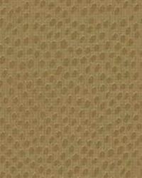 Dewdrops 4  by  Kravet 