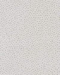 Edgy Shark 11 Platinum by   