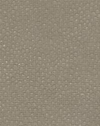 Edgy Shark 21 Nickel by   