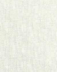 Etching 1 Pearlized by  Kravet 