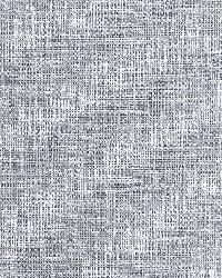 Etching 11 Iron by  Kravet 