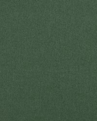 Clarke and Clarke Highlander F0848/46 CAC Forest Fabric