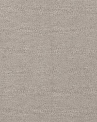 Claro F1417/06 CAC Taupe by   