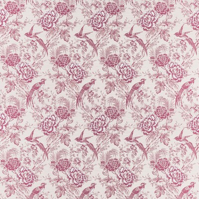 Clarke and Clarke Avium F1429/06 CAC Raspberry in CLARKE & CLARKE BOTANIST White Multipurpose -  Blend Birds and Feather  Traditional Floral   Fabric