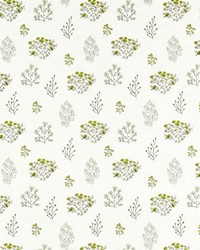 Clarke and Clarke Floris F1431/02 CAC Chartreuse Fabric