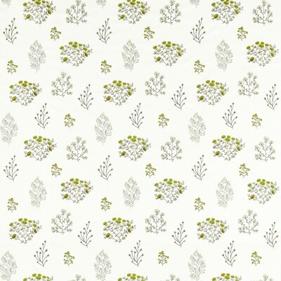 Clarke and Clarke Floris F1431/02 CAC Chartreuse in CLARKE & CLARKE BOTANIST White Multipurpose -  Blend Crewel and Embroidered  Floral Embroidery Small Print Floral   Fabric