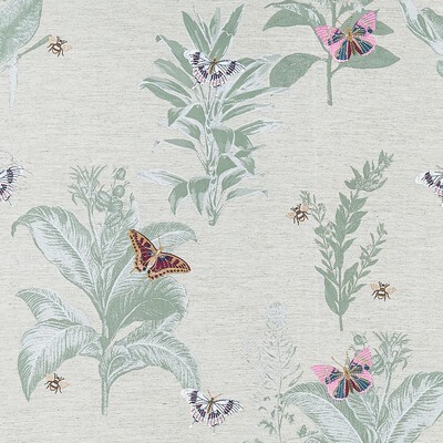 Clarke and Clarke Monarch F1432/05 CAC Summer in CLARKE & CLARKE BOTANIST Beige Multipurpose -  Blend Bug and Insect   Fabric