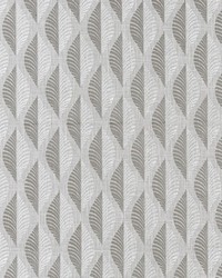 Clarke and Clarke Aspen F1436/01 CAC Charcoal Fabric