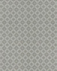 Aztec F1438/01 CAC Charcoal by   