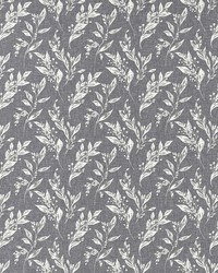 Eternal F1440/01 CAC Charcoal by  Clarke and Clarke 