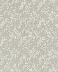 Eternal F1440/02 CAC Ivory by  Clarke and Clarke 