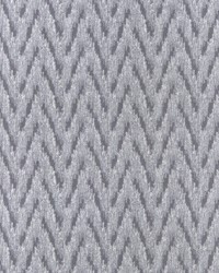 Insignia F1442/01 CAC Charcoal by  Clarke and Clarke 