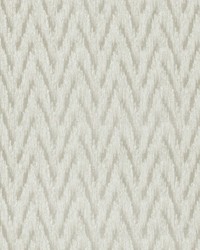 Insignia F1442/02 CAC Ivory by  Clarke and Clarke 