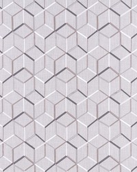 Linear F1443/04 CAC Silver by  Clarke and Clarke 