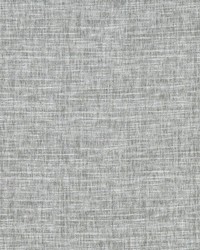 Mizo F1444/03 CAC Silver by  Clarke and Clarke 