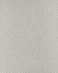 Mono F1445/03 CAC Silver by  Clarke and Clarke 