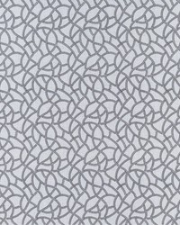 Panache F1447/01 CAC Charcoal by  Clarke and Clarke 