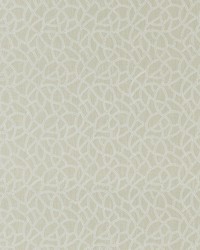 Panache F1447/03 CAC Linen by  Clarke and Clarke 