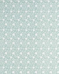 Clarke and Clarke Melby F1465/04 CAC Mint Fabric