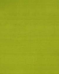 Clarke and Clarke Slyph F1473/08 CAC Lime Fabric