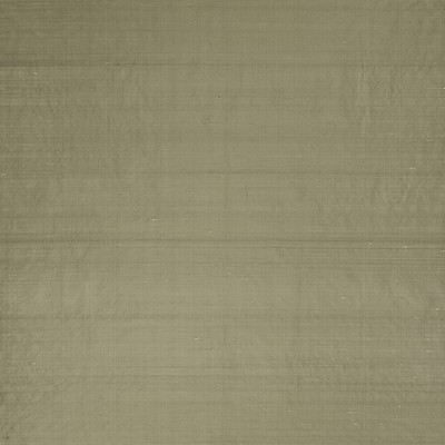 Clarke and Clarke Slyph F1473/19 CAC Tan in WILDERIE BY EMMA J SHIPLEY FOR C&C Beige Drapery -  Blend Solid Silk   Fabric