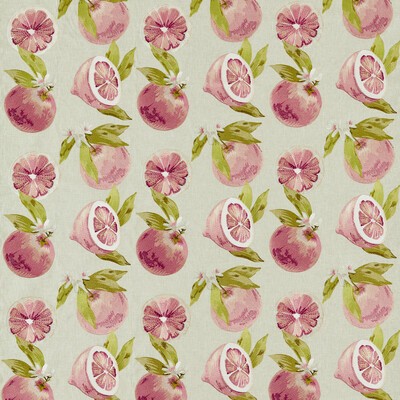 Clarke and Clarke Agrias F1506/01 CAC Grapefruit CLARKE & CLARKE POMARIUM F1506/01.CAC Pink Drapery -  Blend Crewel and Embroidered  Modern Floral Fruit  Fabric