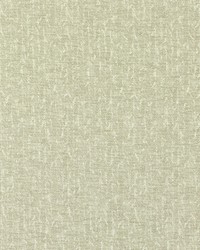 Tierra F1529/05 CAC Linen by   