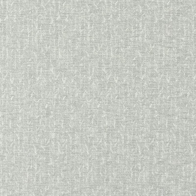 Clarke and Clarke Tierra F1529/08 CAC Pewter CLARKE & CLARKE ECO F1529/08.CAC Grey Upholstery POLYESTER  Blend Fire Rated Fabric Herringbone  Fabric