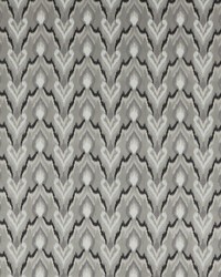 Velluto F1549/03 CAC Pewter by  Collier Campbell 