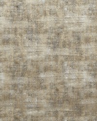 Sontuoso F1550/03 CAC Mink by   