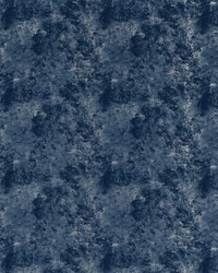 Nuvola F1551/02 CAC Midnight by  Collier Campbell 