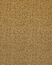 Astral F1564/02 CAC Gold by   