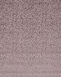 Astral F1564/03 CAC Heather by   