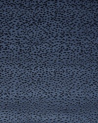 Astral F1564/04 CAC Midnight by   