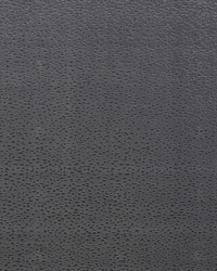 Astral F1564/06 CAC Smoke by   