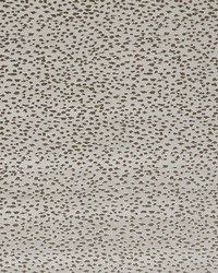 Astral F1564/08 CAC Taupe by   