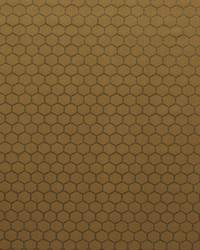 Hexa F1565/02 CAC Gold by   