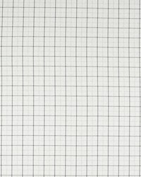 Thornton F1571/07 CAC Silver by   