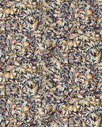 Ashbrook Velvet F1644/03 CAC Noir by  Clarke and Clarke 