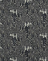 Hillcrest Velvet F1649/04 CAC Noir by  Clarke and Clarke 