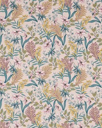 Hazelbury F1650/01 CAC Blush by  Clarke and Clarke 