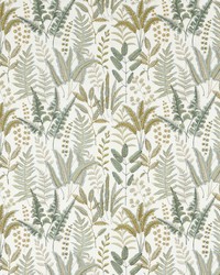 Bracken F1654/02 CAC Glade Emb by  Clarke and Clarke 