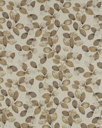 Northia F1657/03 CAC Pewter by  Clarke and Clarke 