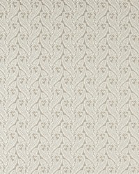 Regale F1659/02 CAC Ivory Mocha by  Clarke and Clarke 