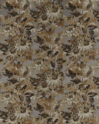Sunforest F1662/03 CAC Pewter Jacquard by  Clarke and Clarke 