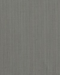 Remo F1665/02 CAC Charcoal by  Clarke and Clarke 