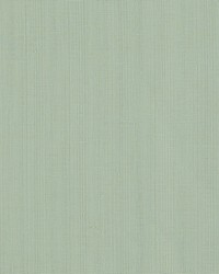 Remo F1665/03 CAC Duckegg by  Clarke and Clarke 