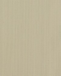 Remo F1665/05 CAC Linen by  Clarke and Clarke 